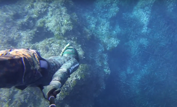 Buceo Cala Deià - Imagen 6