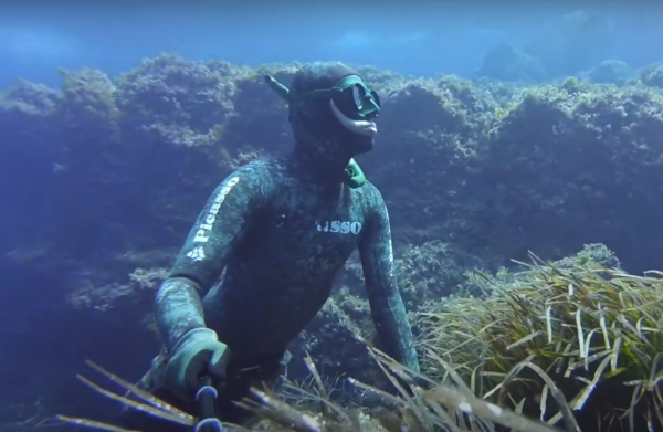 Buceo Cala Deià - Imagen 5