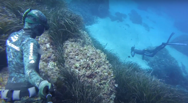 Buceo Cala Deià - Imagen 4