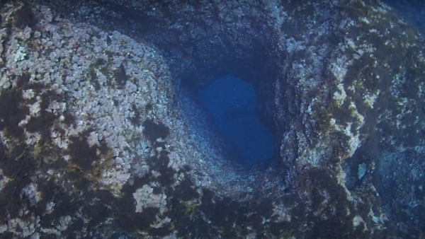 Buceo Cala Deià - Imagen 2