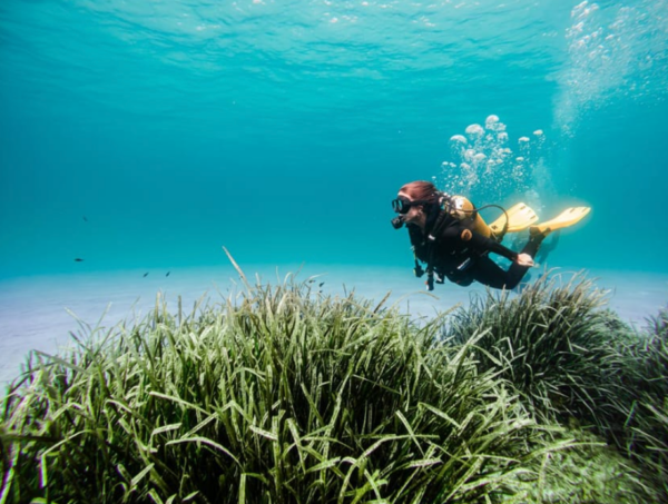 Buceo Cala Llombards - Imagen 3
