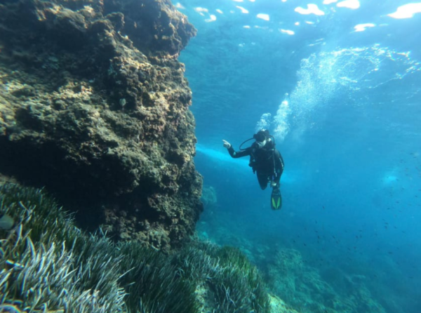 Buceo Cala Llombards - Imagen 4