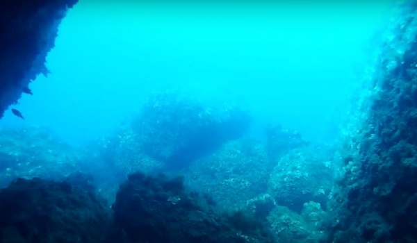 Buceo Cala Mitjana - Imagen 3