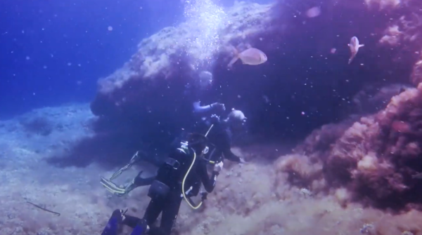 Buceo Cala Mondragó - Imagen 4
