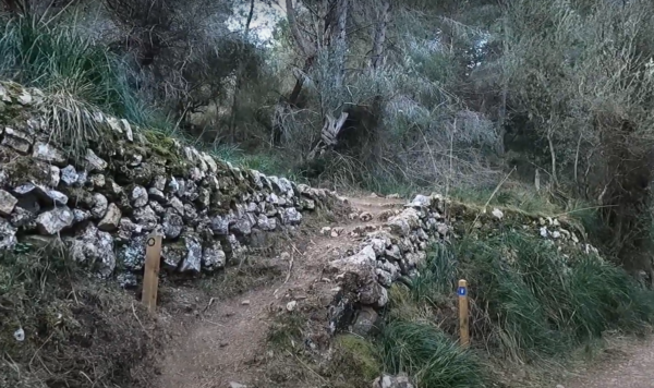 Senderismo Sa Costera - Imagen 3