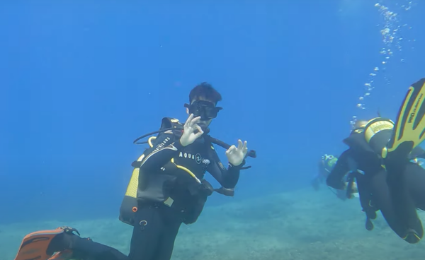 Buceo El Toro - Imagen 7