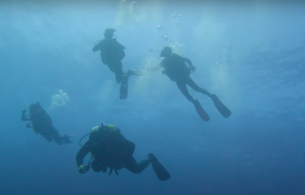 Buceo El Toro - Imagen 4