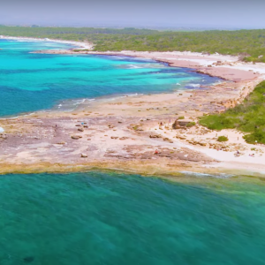 Buceo Cap de Ses Salines