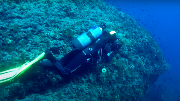 Buceo Punta des Capellans - Imagen 3