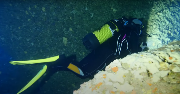 Buceo Punta des Capellans - Imagen 5